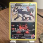 Team Magma's Mightyena