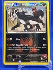 Team Magma's Mightyena