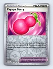 Payapa Berry