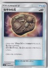 Unidentified Fossil