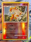 Ponyta