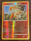 Ponyta