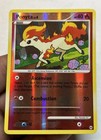 Ponyta