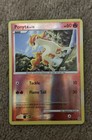 Ponyta