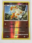 Ponyta