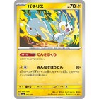 Pachirisu
