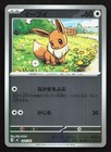 Eevee ex