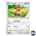 Eevee ex