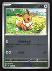 Eevee ex