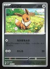 Eevee ex
