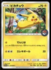 Pikachu [Tohoku Pokemon Center] 