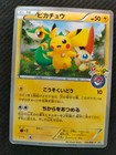 Pikachu [Tohoku Pokemon Center] 