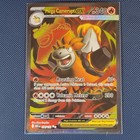 Mega Camerupt Ex