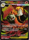 Mega Camerupt ex