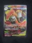 Mega Camerupt ex
