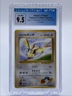 Koga's Pidgey