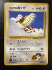 Koga's Pidgey