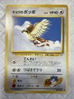 Koga's Pidgey