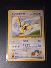 Koga's Pidgey