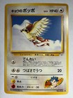 Koga's Pidgey
