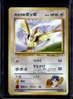 Koga's Pidgey