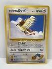 Koga's Pidgey