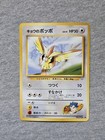 Koga's Pidgey