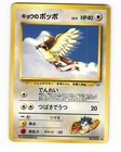 Koga's Pidgey