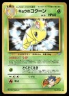 Koga's Pidgey