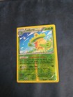 Ludicolo