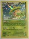 Ludicolo