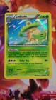 Ludicolo