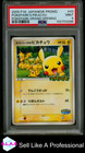 PokeParks Pikachu