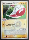 Holon's Electrode