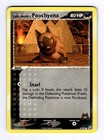 Poochyena