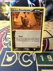 Poochyena