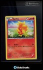 Torchic