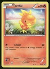 Torchic