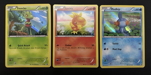 Torchic