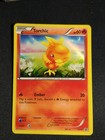 Torchic
