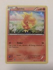 Torchic