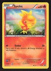 Torchic