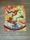 Rapidash