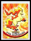 Rapidash