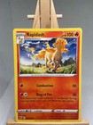 Rapidash