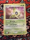 Celebi
