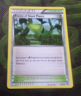 Forest of Giant Plants