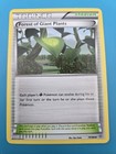 Forest of Giant Plants