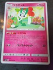 Floette
