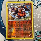 Rhyperior
